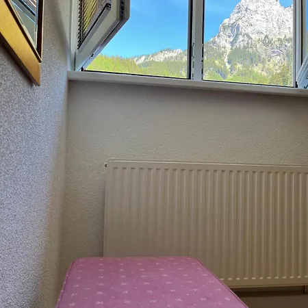 Panoramic Alpine *